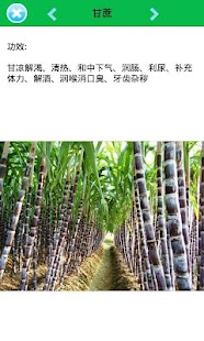 download 水果藥理 free