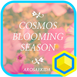 코스모스 피는 계절 : 카카오홈 테마.apk 3.0