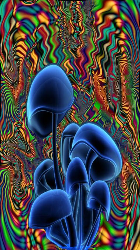 Android application Shrooms Live Wallpaper HD screenshort