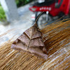 Noctuid moth