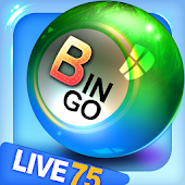 Bingo City Live 75+FREE slots