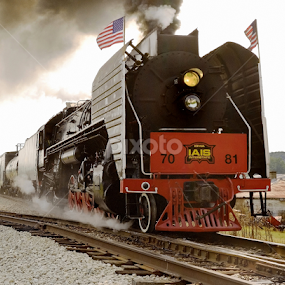 Excursion Steam Locomotive by Stephen Beatty - Transportation Trains