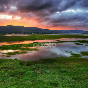 by Neil Brown - Novices Only Landscapes
