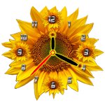Sunflower Clock Apk