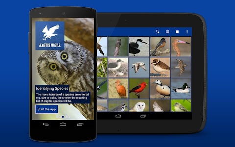 Screenshot iKnow Birds 2 PRO - USA CA MX v1.0.4
