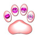 Kitty's Personality Detector