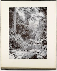 Gezicht langs de Belawan rivier, Roemah Kinangkang, Sumatra (Belawan Fluss, Roemah Kinangkang)