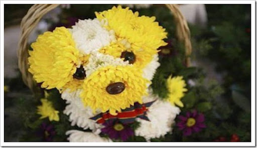 dog-flower-bouquet-2