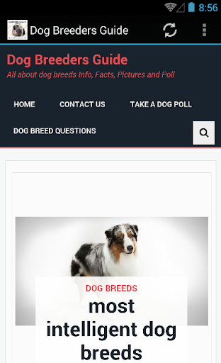 Dog Breeders Guide