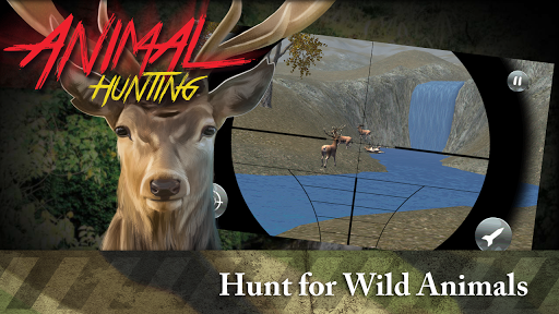 Animal Hunting 3D