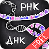 ayMolekula: Biology DNA free