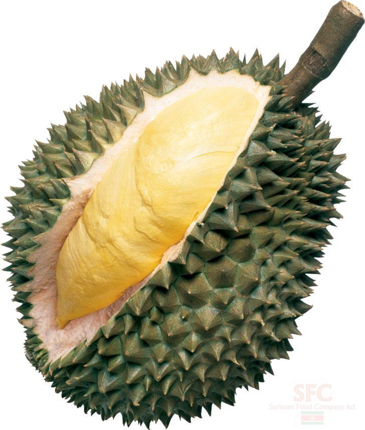 [durian[3].jpg]