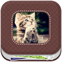 Gallery 3D icon