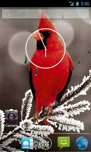 Bird HD Live Wallpaper