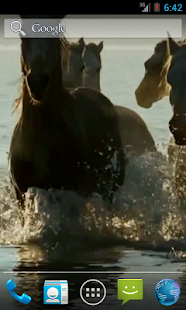 How to get Horses video live wallpaper HD lastet apk for android