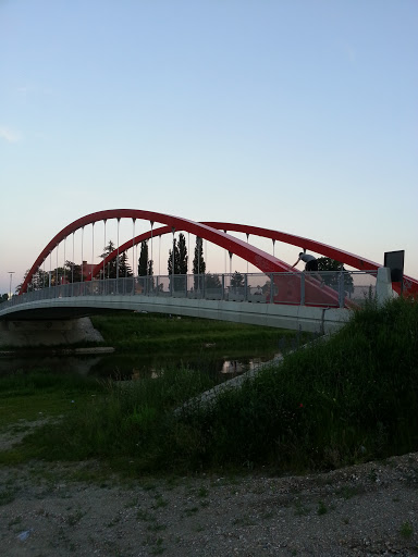 Bridge - Morava River
