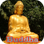 Gautama Buddha Live Wallpaper Apk