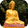 Gautama Buddha Live Wallpaper Application icon