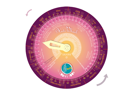 NatiWheel Screen 2