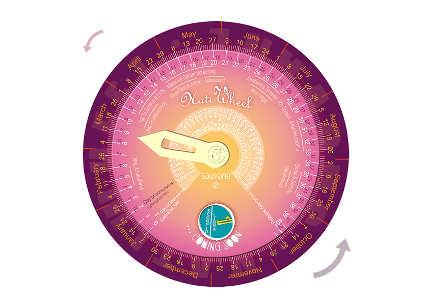NatiWheel Screen 2