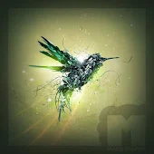 Тема eXPERIAnZ - Creative BIRD