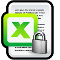 Excel Lock