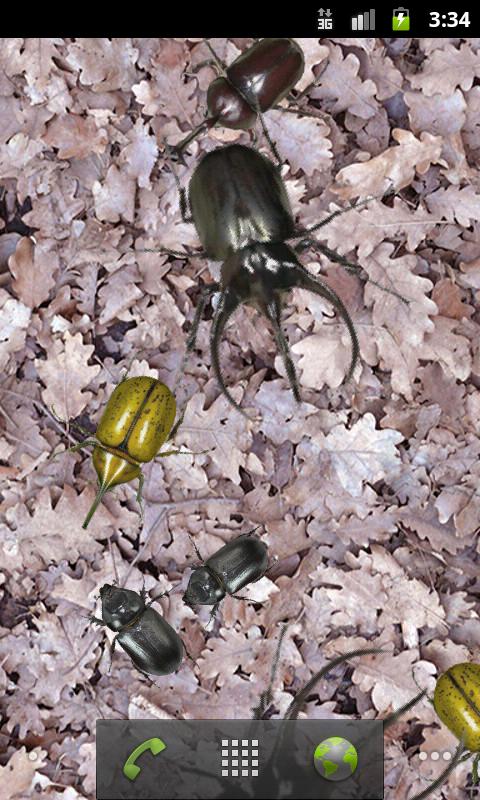 Android application Rhinoceros beetle Wallpaper screenshort