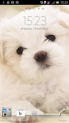 Puppy dog Live Wallpaper