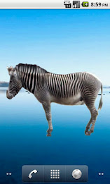 Zebra Sticker poster 3