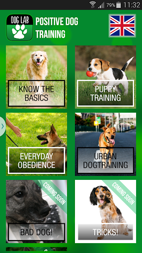 DogLab Positive Dog training