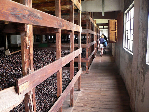 nutmeg-gouyave-grenada - The nutmeg processing plant in Gouyave, Grenada.