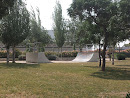 Half Pipe Skate Park