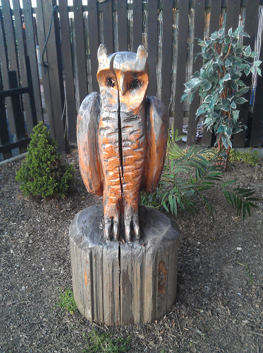 Wood Owl Koliba