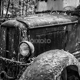 Motor Nature Trail Dodge by Robert Willson -  