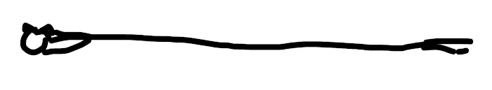 Long Cat