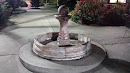 Random Fountain