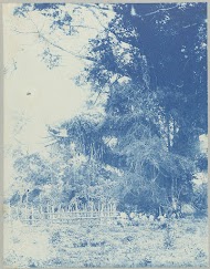 Javanenmarkt op "Ma retraite"