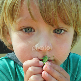 Saxon Kissing a Grasshopper by Nadia Chatterton - Babies & Children Child Portraits