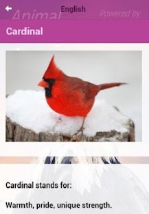 Animal Messages App Pro Screenshots 6