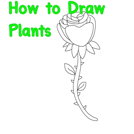 how to draw Flowers