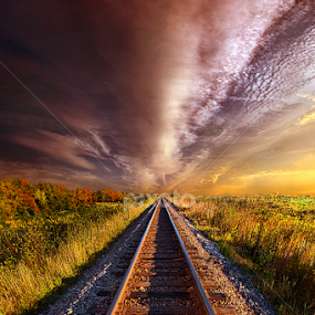 Walking the Line Till the Morning Shines by Phil Koch - Transportation Railway Tracks