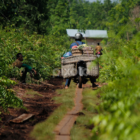 by Pani Indra - People Street & Candids