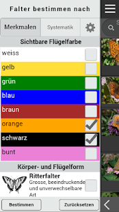 How to mod Schmetterlinge bestimmen 2.32 apk for laptop