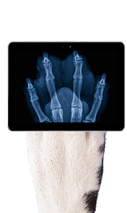 Pet Xray- Prank Screenshots 4