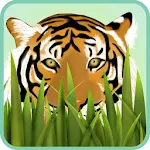 Petting Zoo (Animals for Kids) Apk
