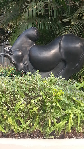 Bull Outside Kailash Parbat