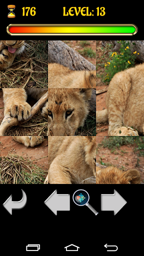 免費下載教育APP|Big Cats Puzzles – Free Jigsaw app開箱文|APP開箱王