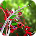 Jungle of Flowers 3D LWP Free1.3.9