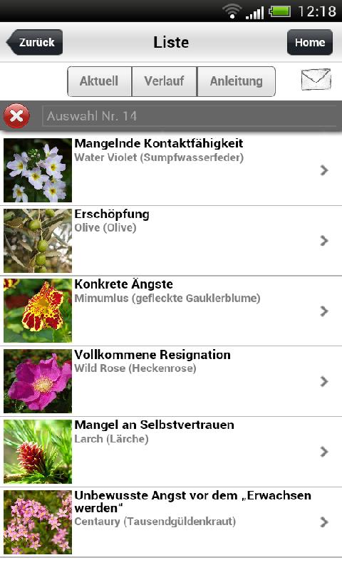 Bachblüten-Finder Screen 3