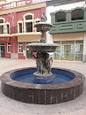 Fountain in Fox Town